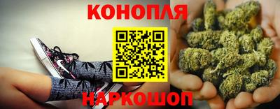 сатива Коммунар