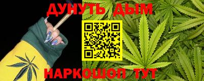 сатива Коммунар